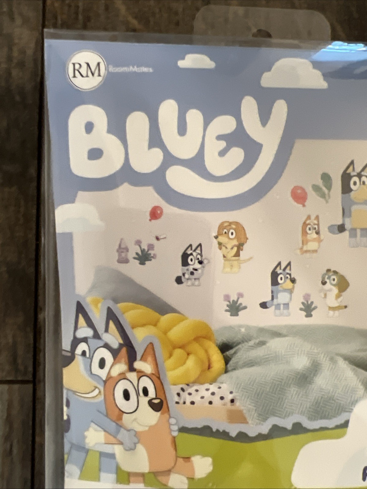 Roommates Bluey Family and Friends Peel and Stick Wall Decals, RMK5457SCS