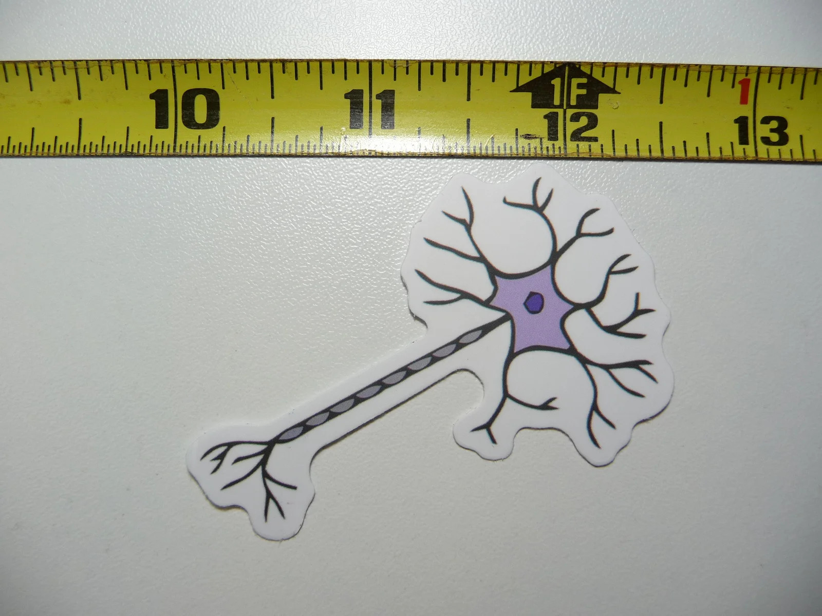NEURON CELL NERVE IMPULSES SMALL STICKER DECAL SCHOOL TEACHER PROFESSOR