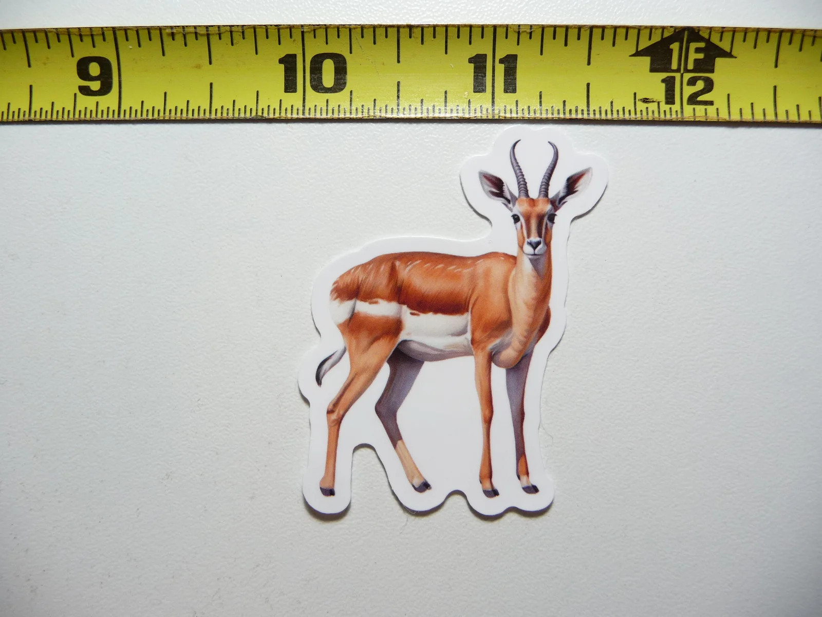 CHINKARA INDIAN GAZELLE SMALL STICKER DECAL WILDLIFE PRESERVE NATURE ANIMAL