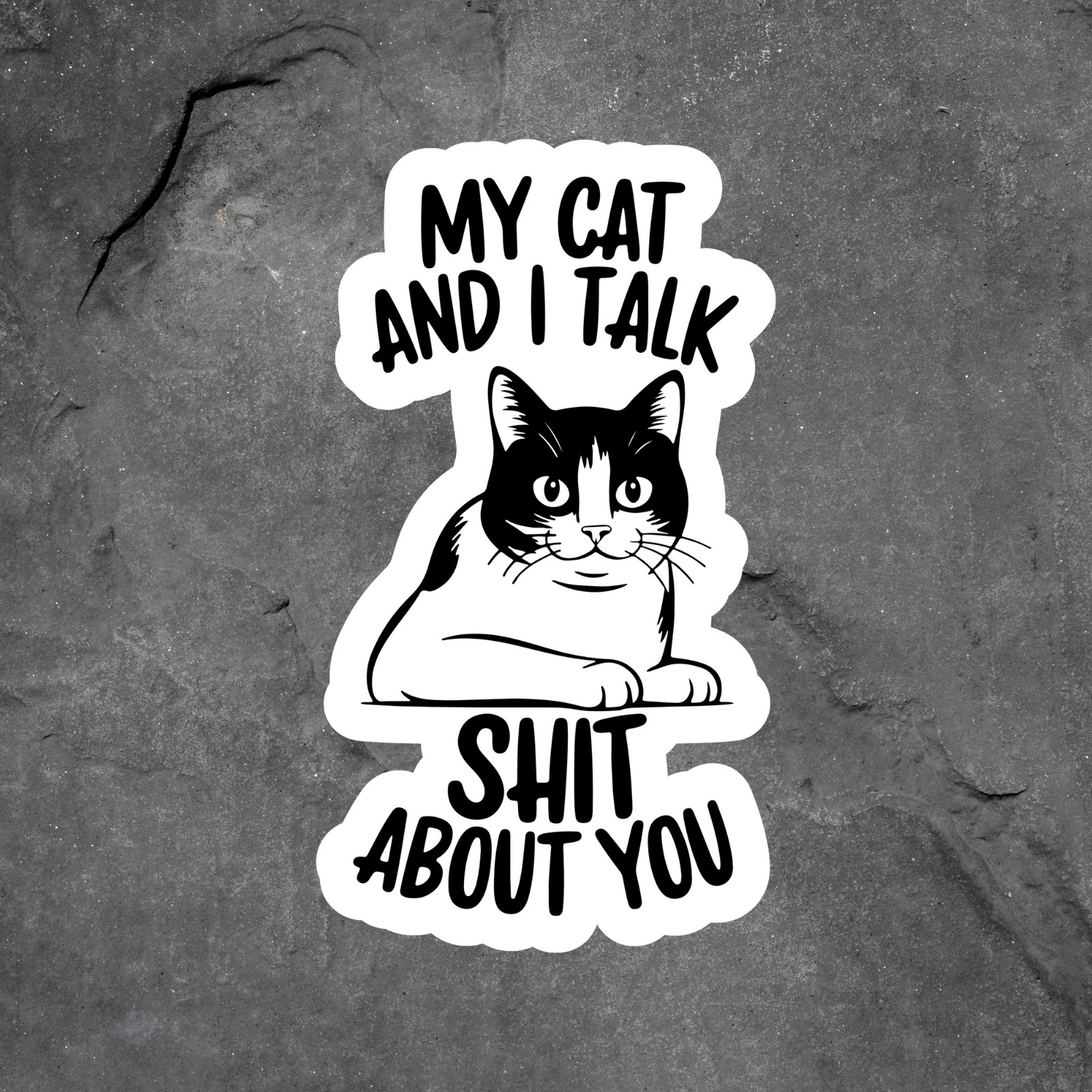Cat Sticker Vinyl Decal My Cat And I Talk Sh*t Funny Sarcastic Humor