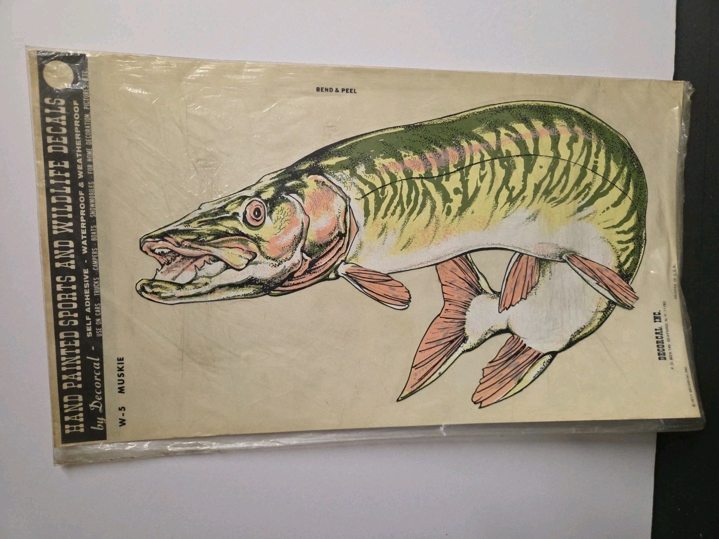 Vintage 1970's NOS Hand Painted Sports And Wildlife Decals W-5 MUSKIE 10×17