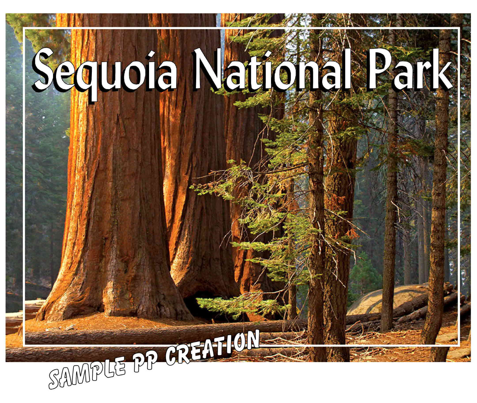 SEQUOIA NATIONAL PARK PHOTO FRIDGE MAGNET 4 X 3 inches TRAVEL