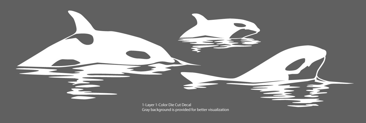 Sea Fauna – Orca Pack #7 – Outdoor Window Die Cut Decal Vinyl Sticker 6Yrs Film