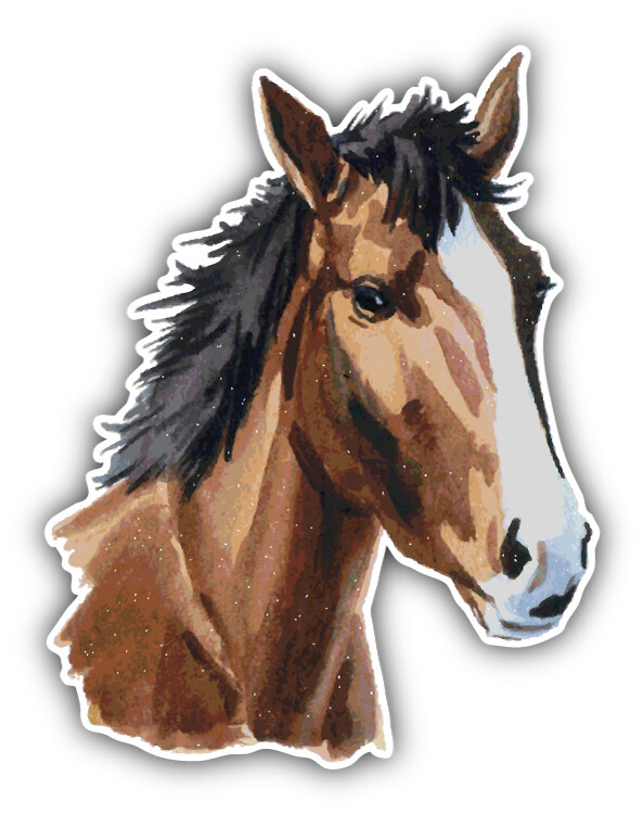 Watercolor Horse Head Car Bumper Sticker Decal