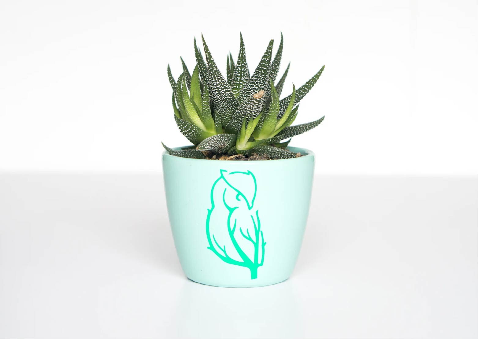 Owl Branches Decal Sticker Car Decor Wildlife Bird Owls Tree Pet Wise Woods Life