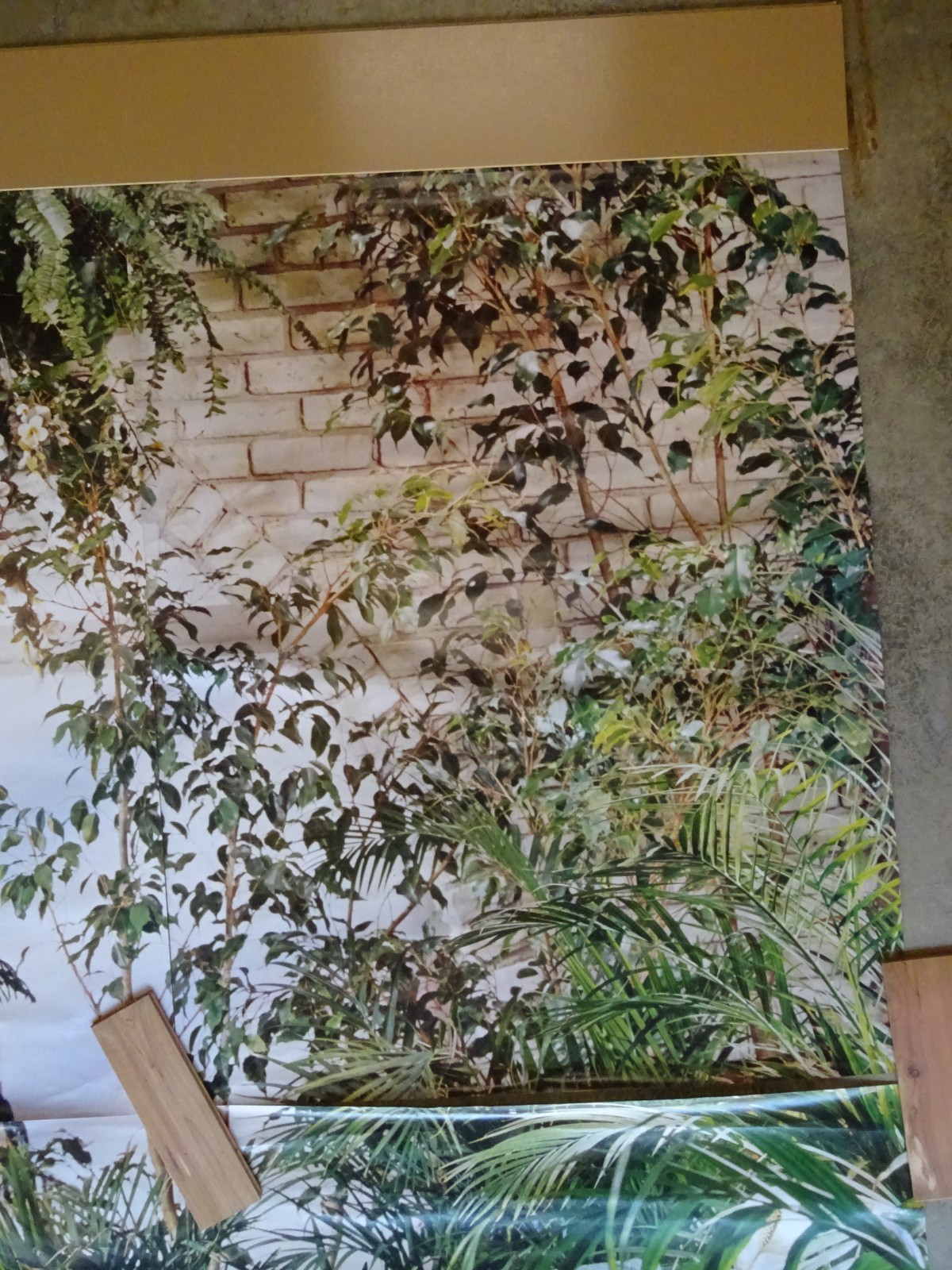 Full Wall Size Mural Tropical Plants Huge Window 8’ 8” x 12’ 6” NOS 108 Sq Ft A