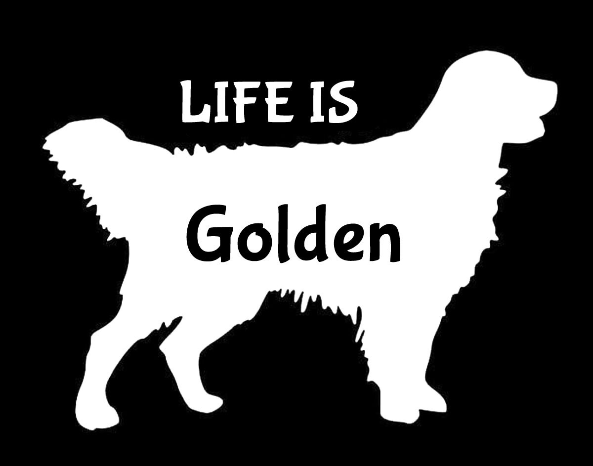 Life is Golden Dog Retriever White Decal Car Window Laptop Tablet Notebook