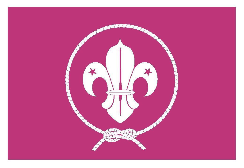 World Scout Movement Flag Sticker Decal F556