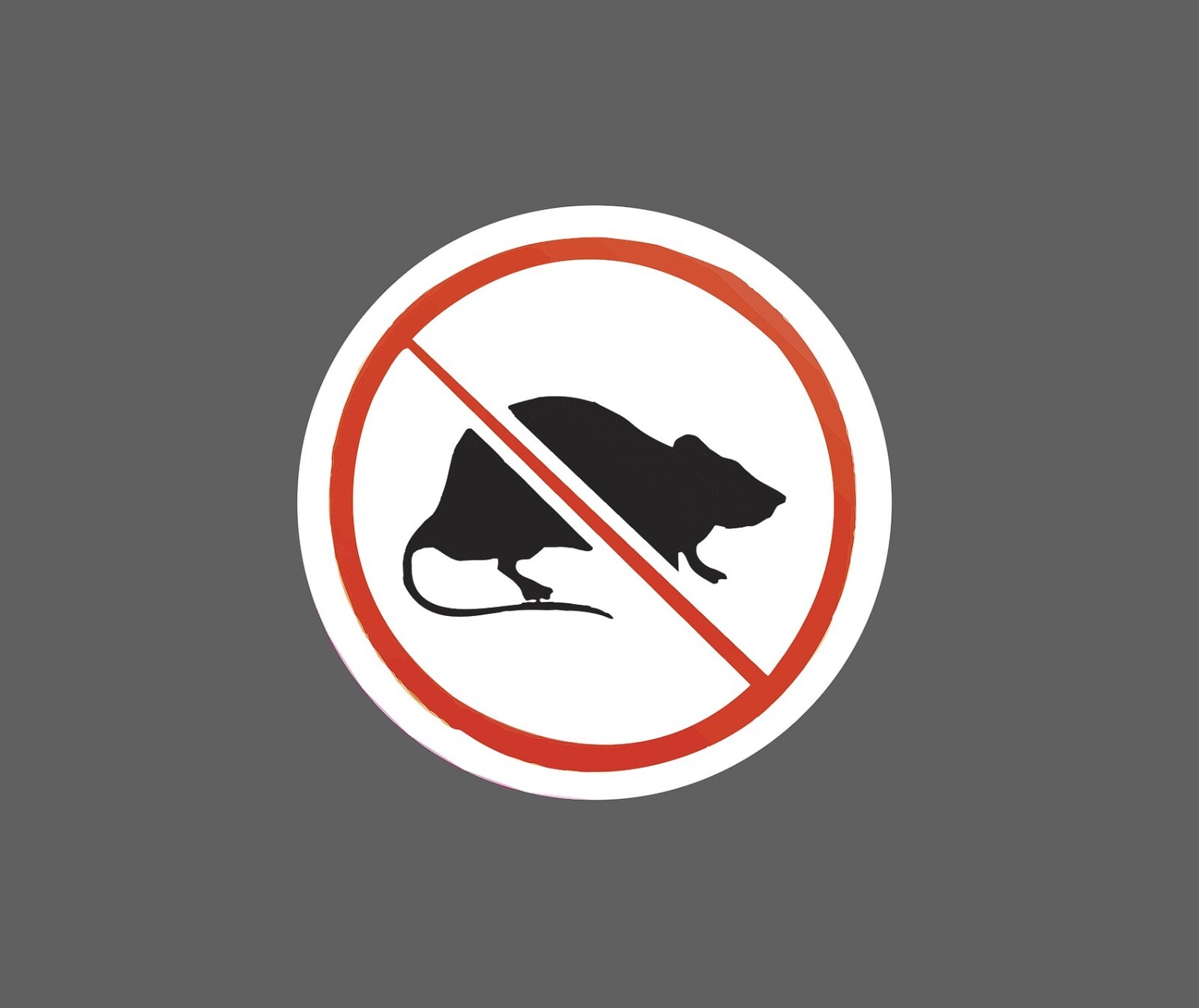 No Rats Sticker Snitch Waterproof NEW – Buy Any 4 For $1.75 EACH Storewide!
