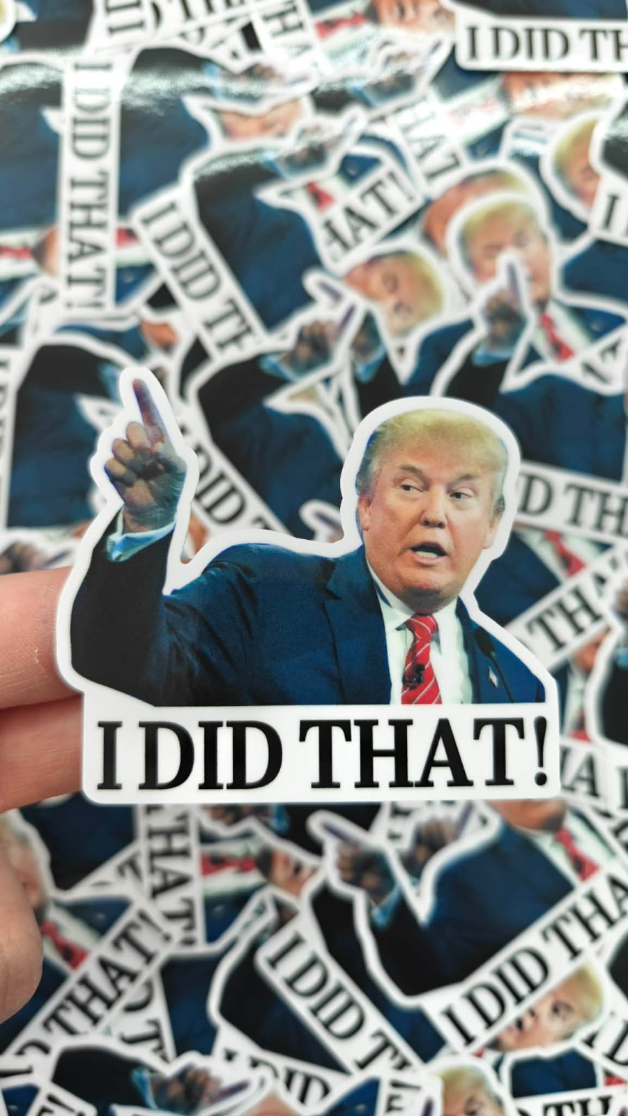 I Did That Trump Sticker 10 Pack Funny Meme Vinyl Decal Waterproof 3in