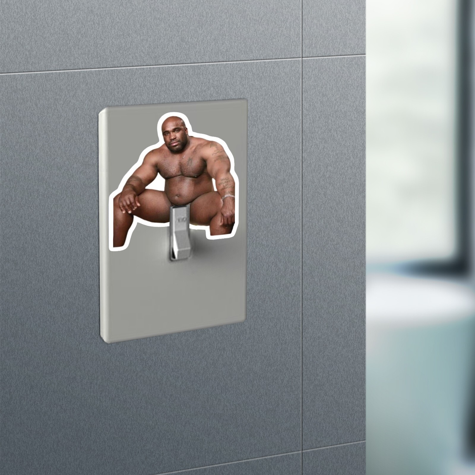 5 Pcs Funny Barry Wood Decal Sticker Prank For Light Switch Hanger Waterproof
