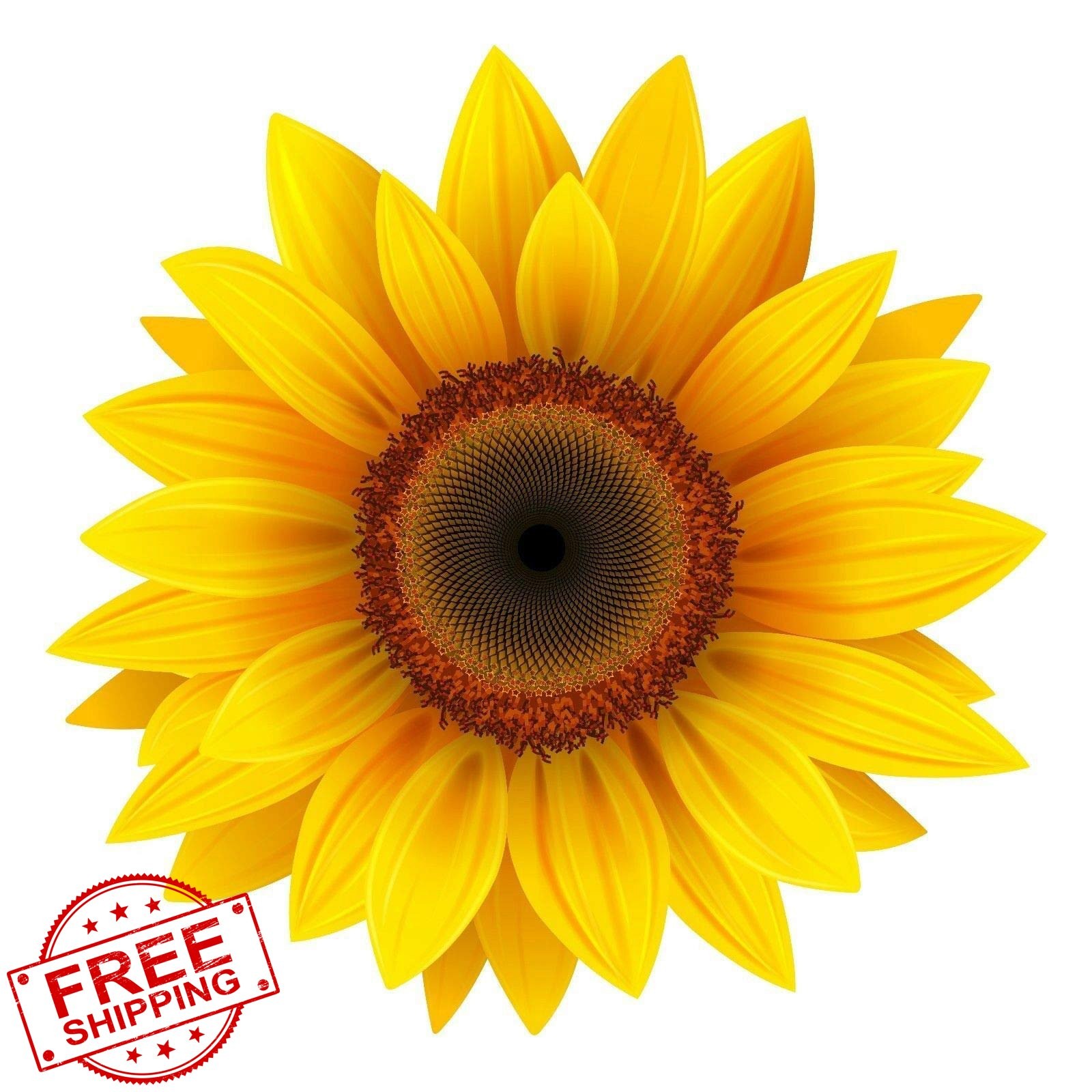 EZ CUT PRO Sunflower Decal 4" Wide