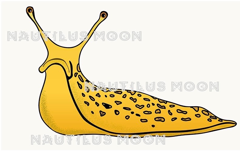 Grumpy Banana Slug Fun Sticker Die-Cut 2 x 3" – Free Shipping