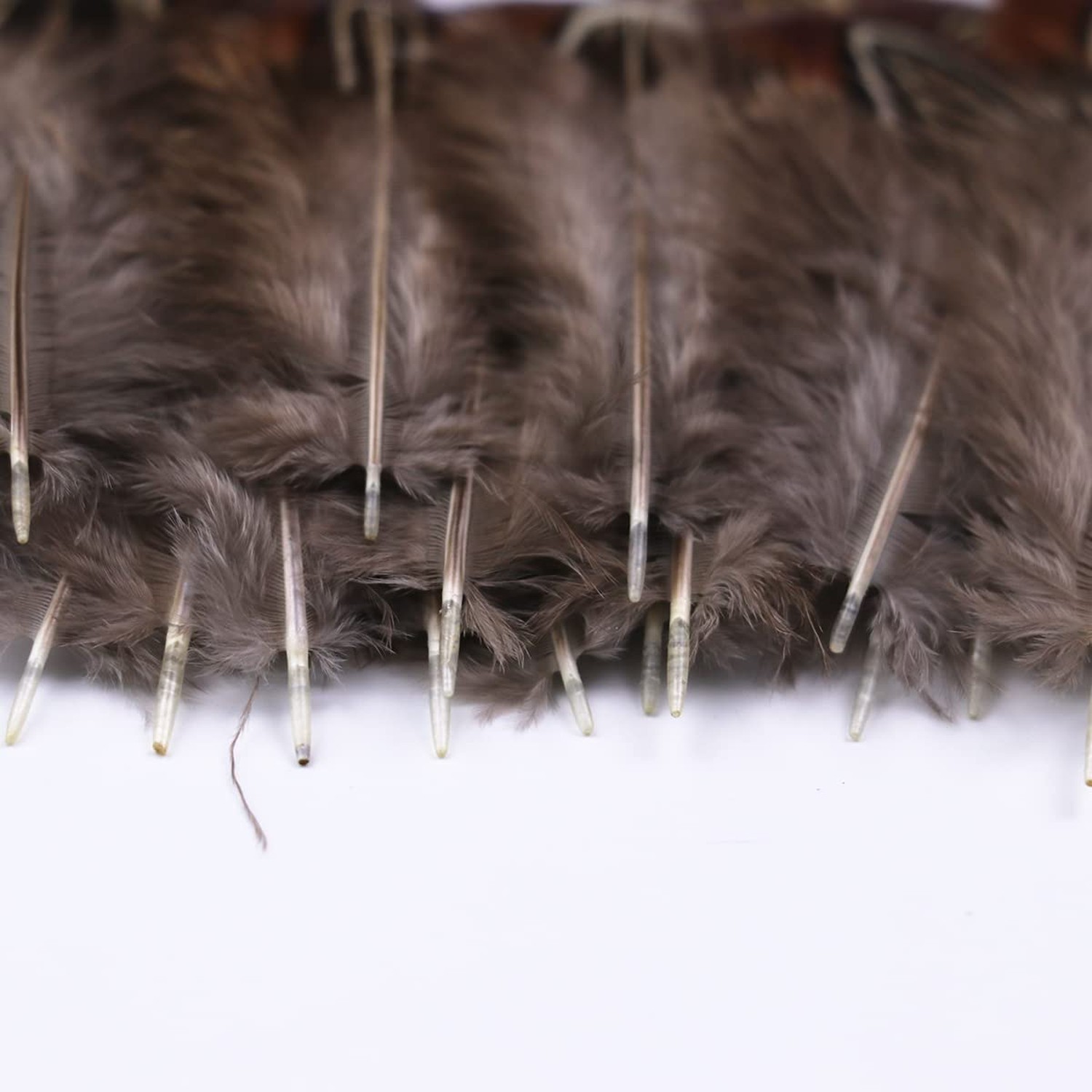 50 Pcs Natural Pheasant Feathers 2-3 Inches Plumage for Crafts Clothing Sewin…