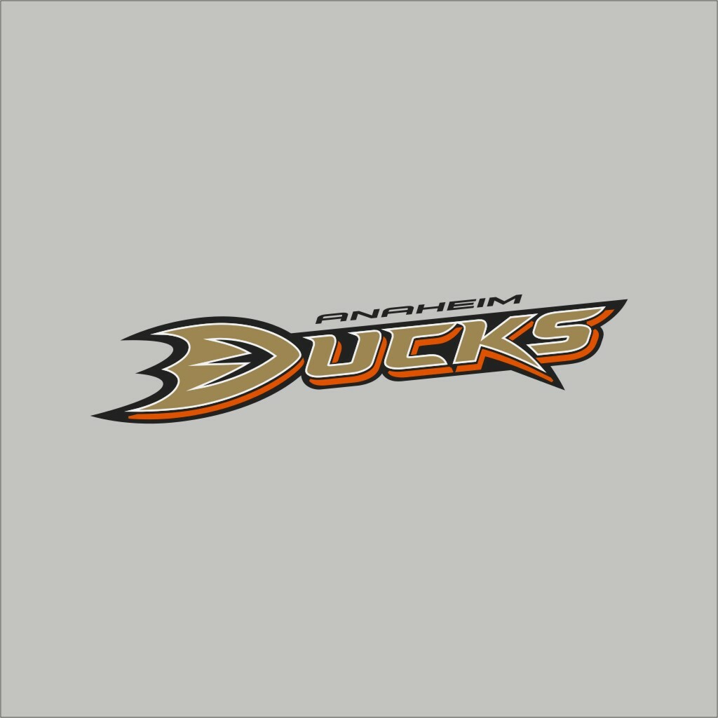 Anaheim Ducks #2 NHL Team Pro Sports Vinyl Sticker Decal Car Window Wall