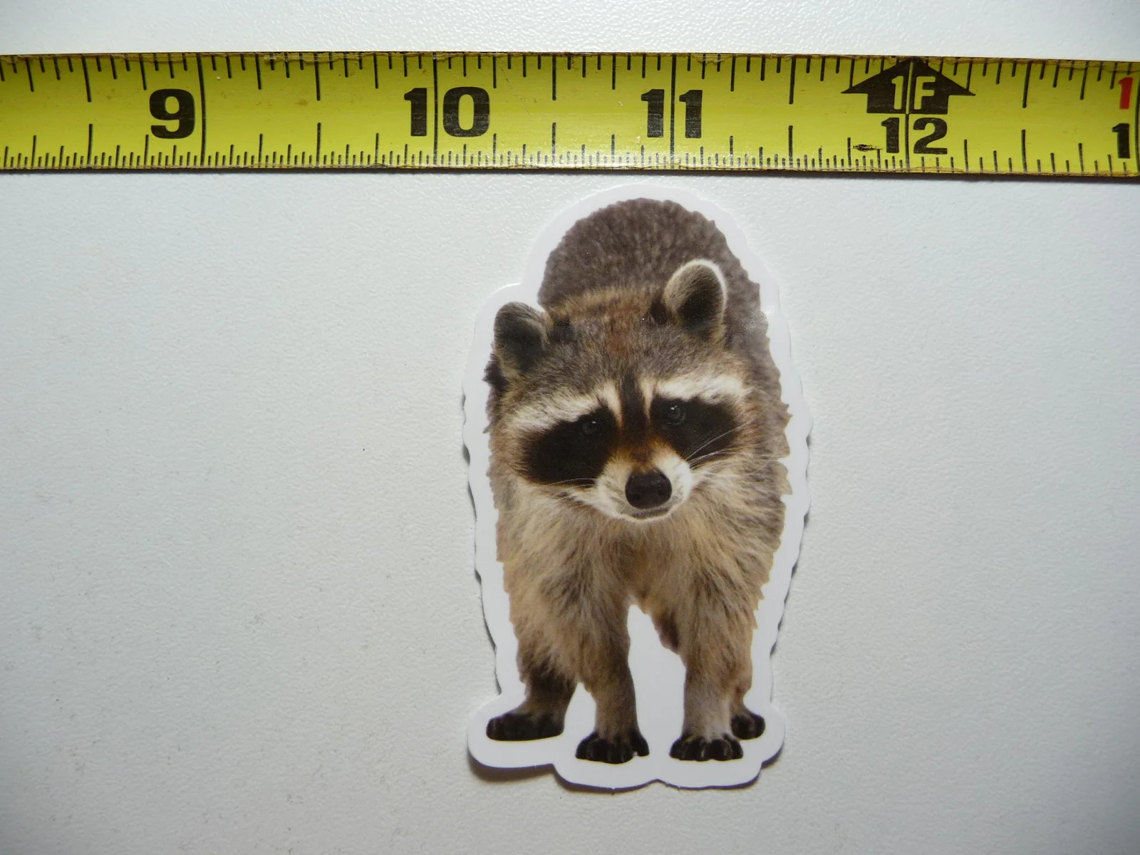 RACCOON STANDOFF SMALL STICKER DECAL WILDLIFE PRESERVE NATURE ANIMAL