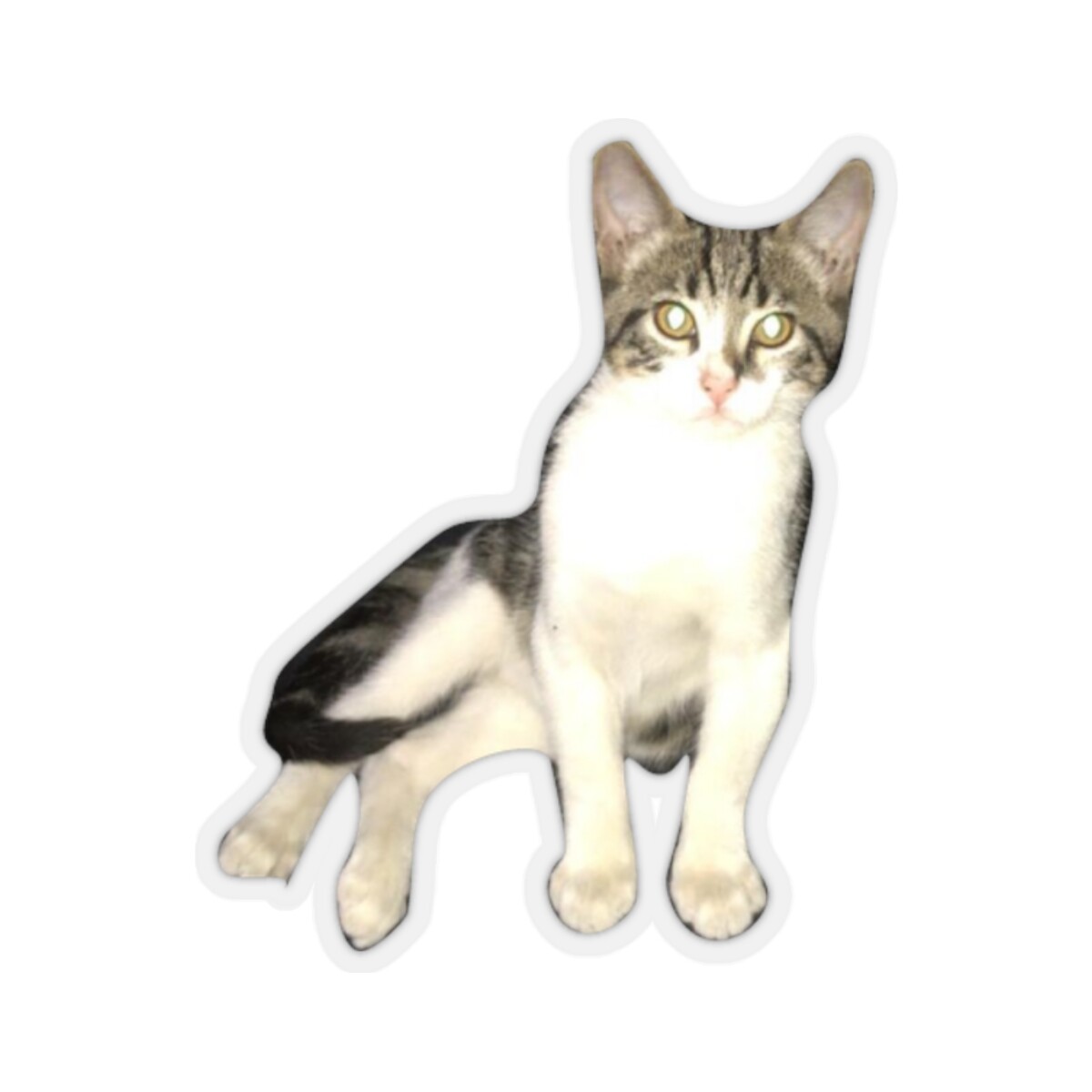 CUTE KITTEN STIKER, PERSONALIZED DESIGN