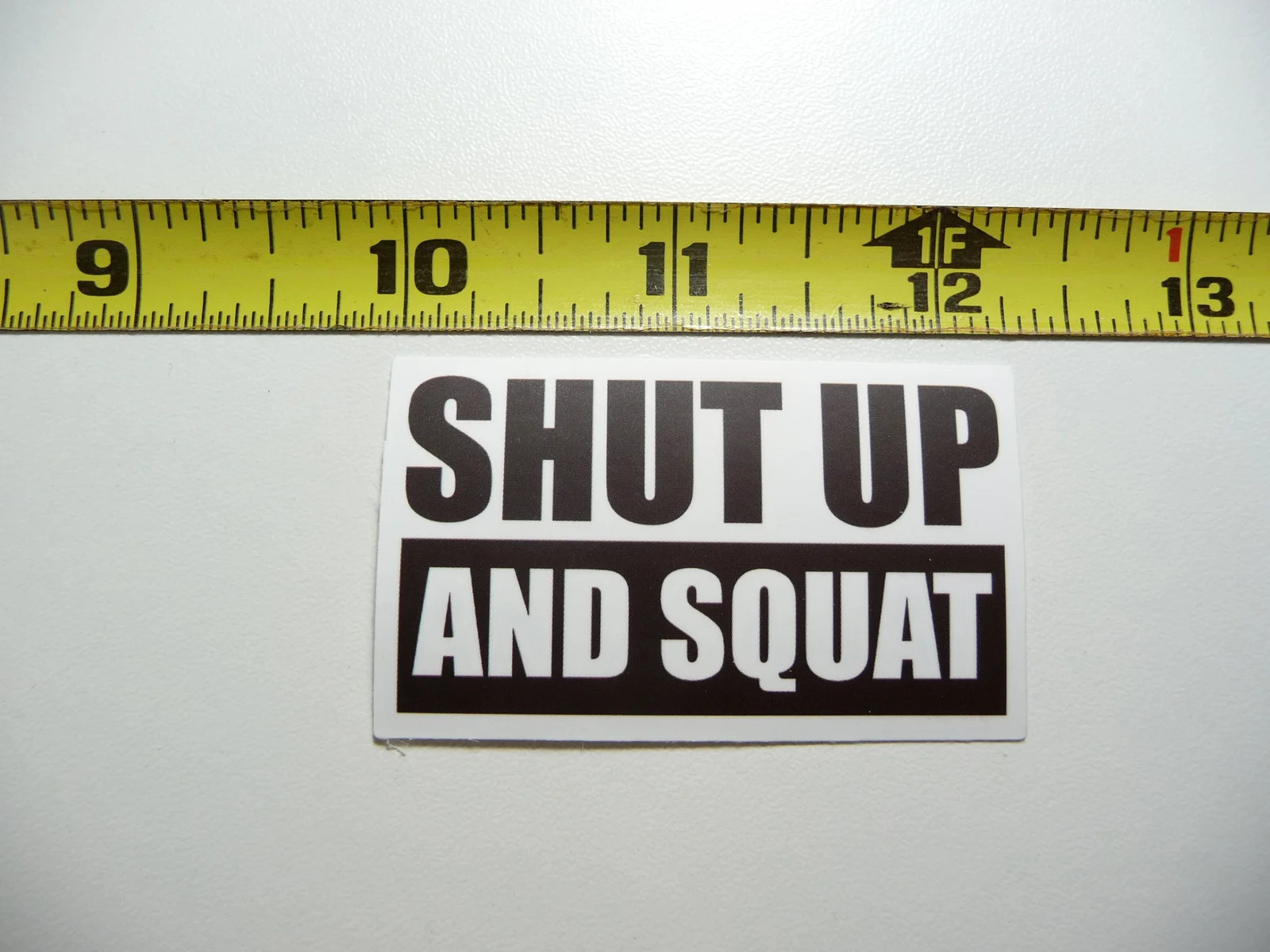 SHUTUP AND SQUAT SMALL STICKER DECAL GYM WEIGHTLIFTING FITNESS EXERCISE