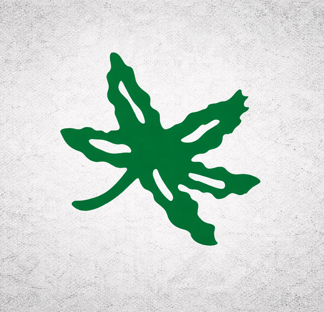 Ohio Buckeye Leaf Vinyl Decal Sticker Car Window Laptop Waterproof 2"-8"