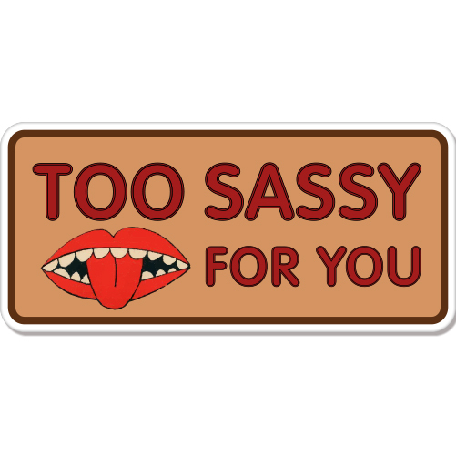 Too Sassy For You Funny Rude car bumper sticker decal 8" x 3"