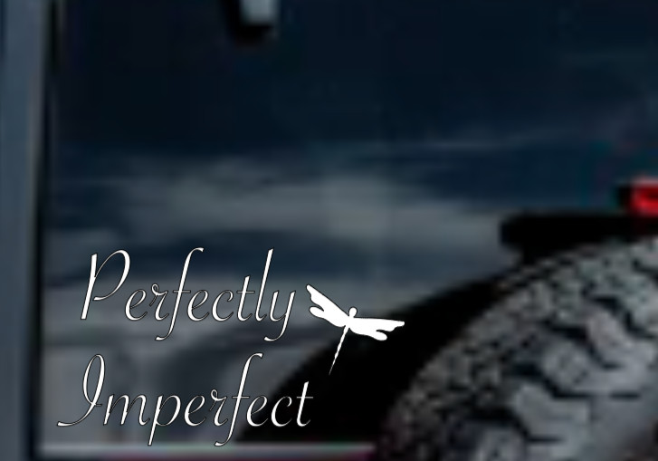 Perfectly Imperfect Dragonfly Vinyl Decal Bumper Sticker Car Window Mirror Wall
