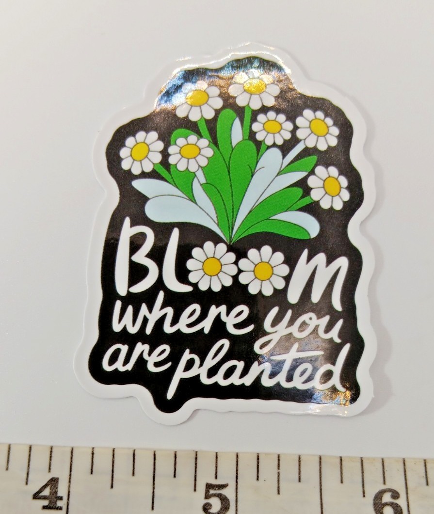 Plants-Garden-Bloom Where You're Planted-Vinyl Sticker-Decal-NWOT-Free Shipping!