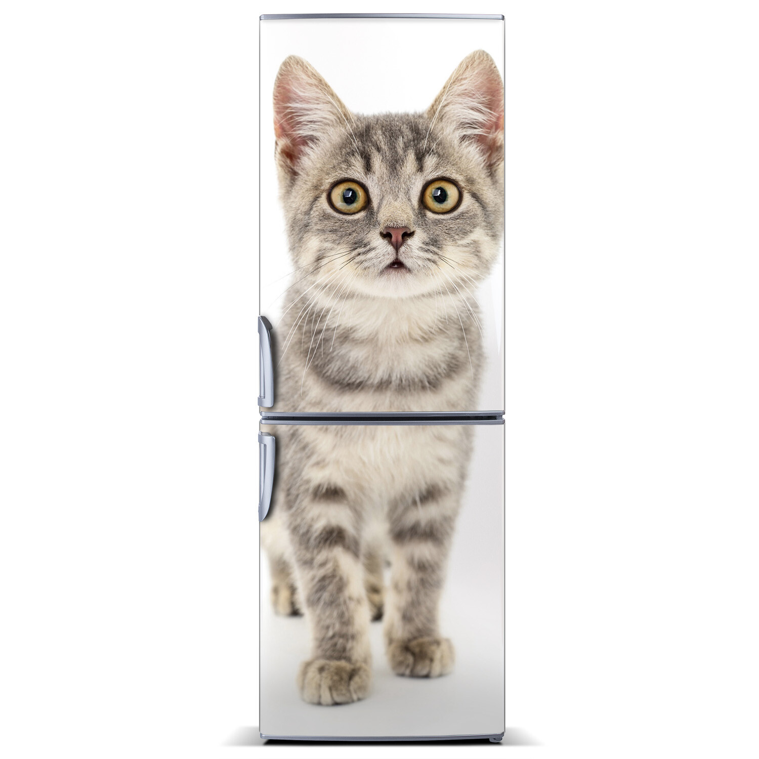 Removable Home Refrigerator Wall Sticker Magnet Decor Animals Gray cat
