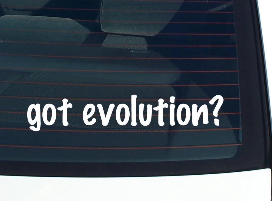 got evolution? CAR DECAL BUMPER STICKER VINYL FUNNY JOKE WINDOW