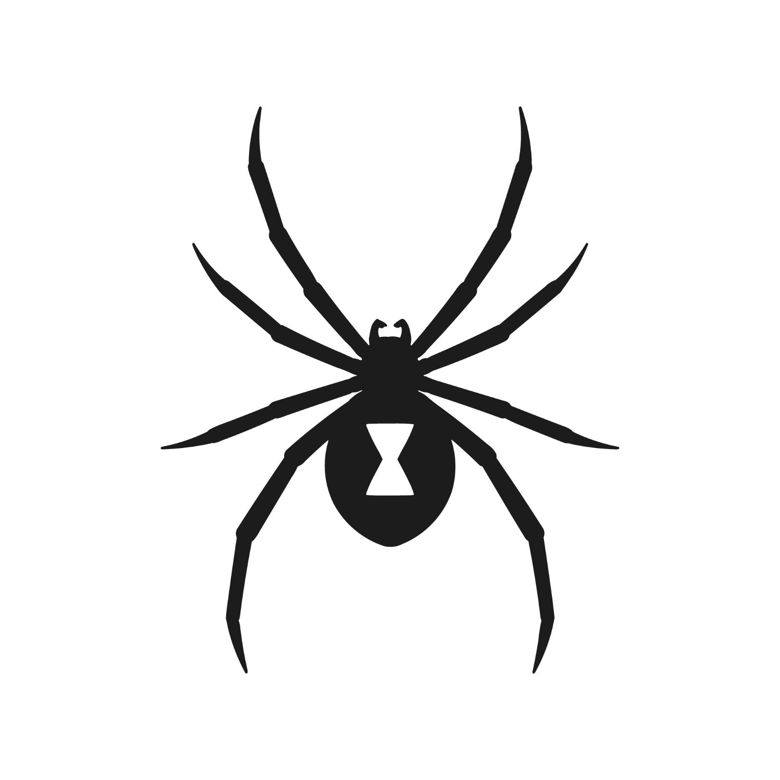 Spider Widow Spider Vinyl Decal Window Arachnid Hourglass Laptop Sticker