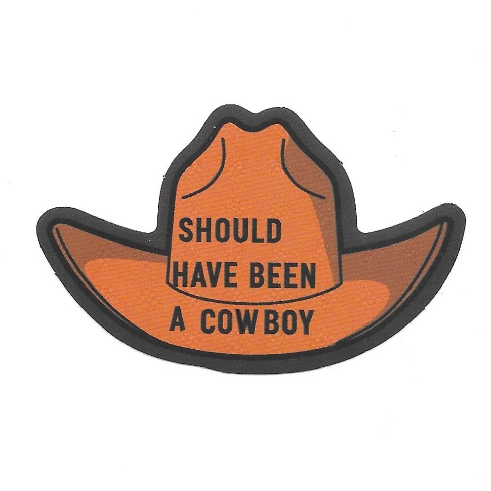 Should Have Been A Cowboy Hat Vinyl Sticker Vintage Western Country Song Decal