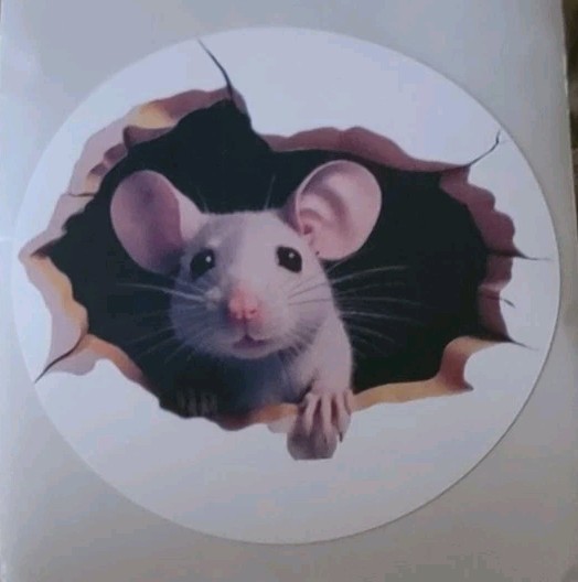 🤣1x Decal Prank Rat Mouse Hole In Wall Sticker Adhesive Room Bedroom Reusable