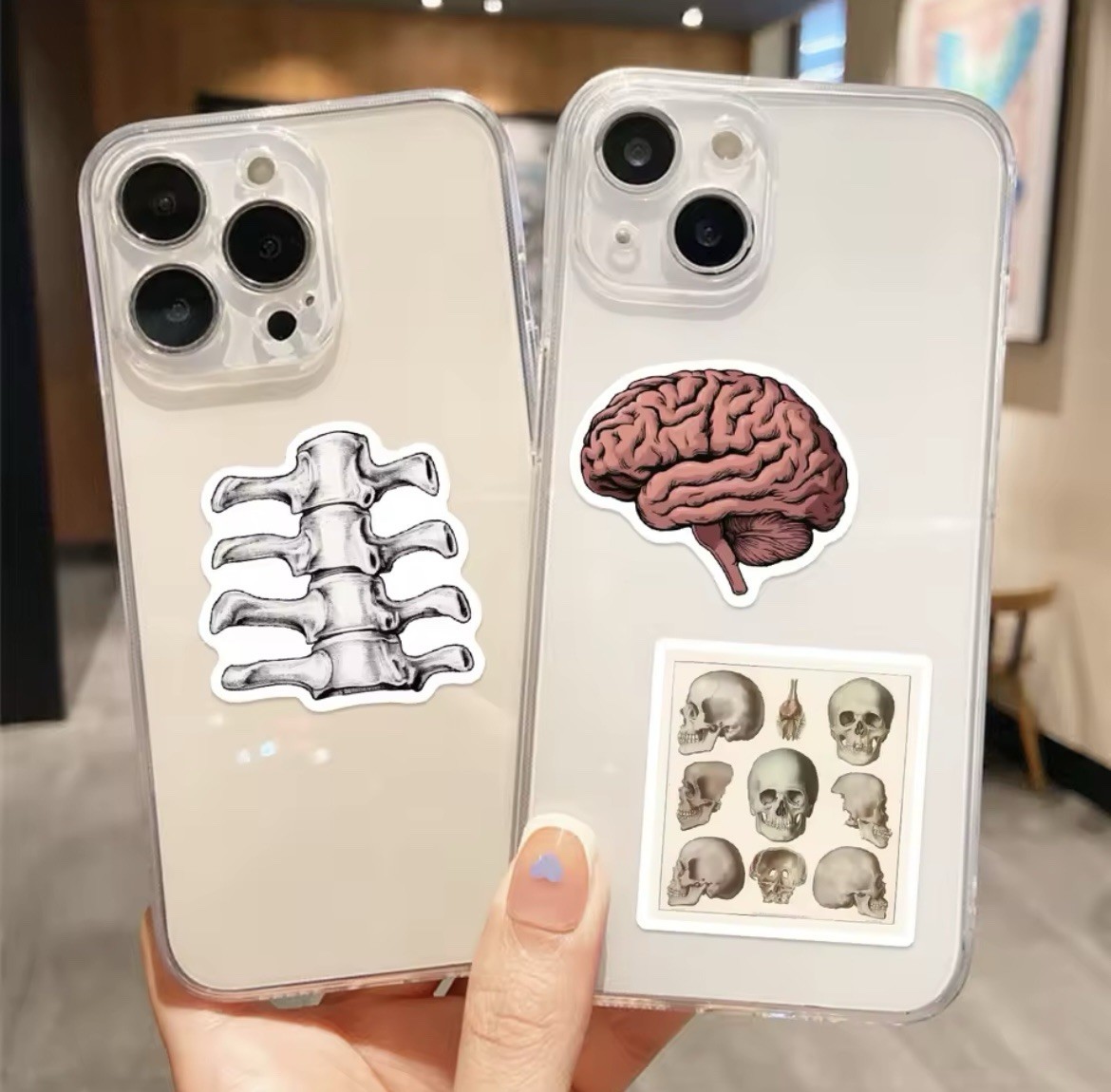 Body Parts Anatomy Style Stickers 50pk Mix Matte Finish Stickers FREE SHIPPING