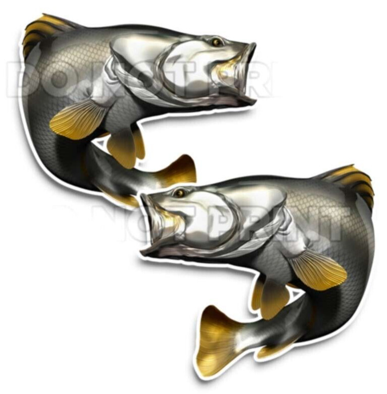 Barramundi Decals Fish Stickers Vinyl Tackle Box Giant Sea Perch – Set of 2 #134