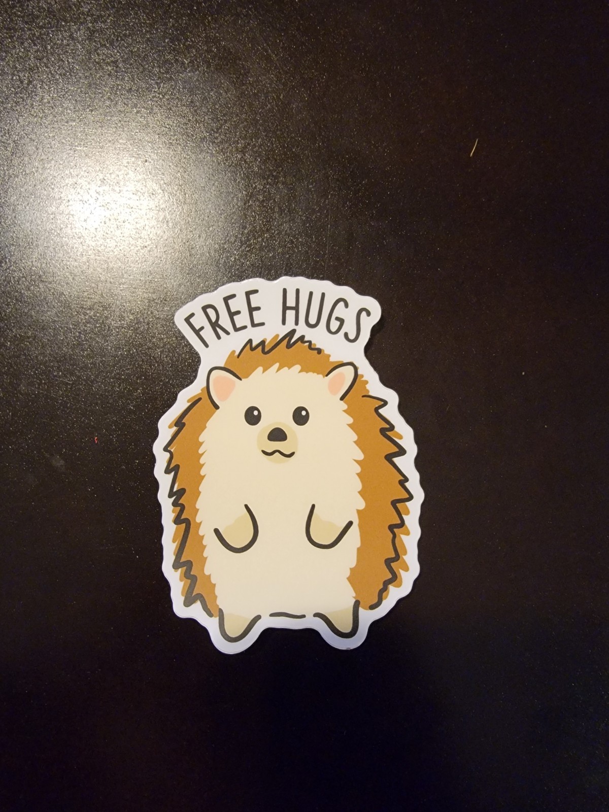 Vinyl Sticker FREE HUGS HEDGEHOG Decal Scrapbook Laptop