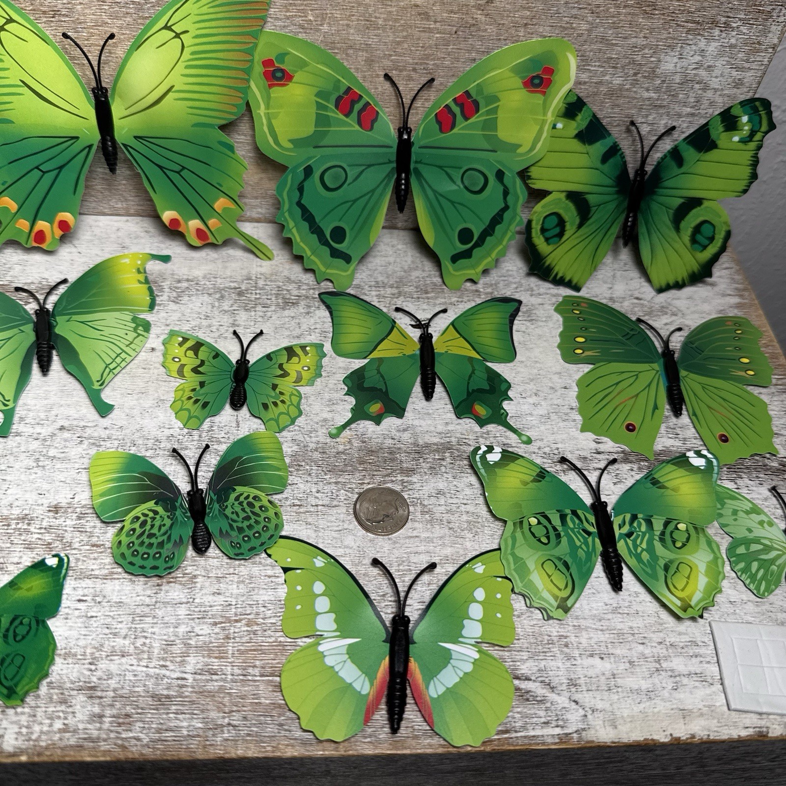 Lot of 12 3D Realistic Butterfly Wall Stickers Different Sizes, Shapes GREEN New