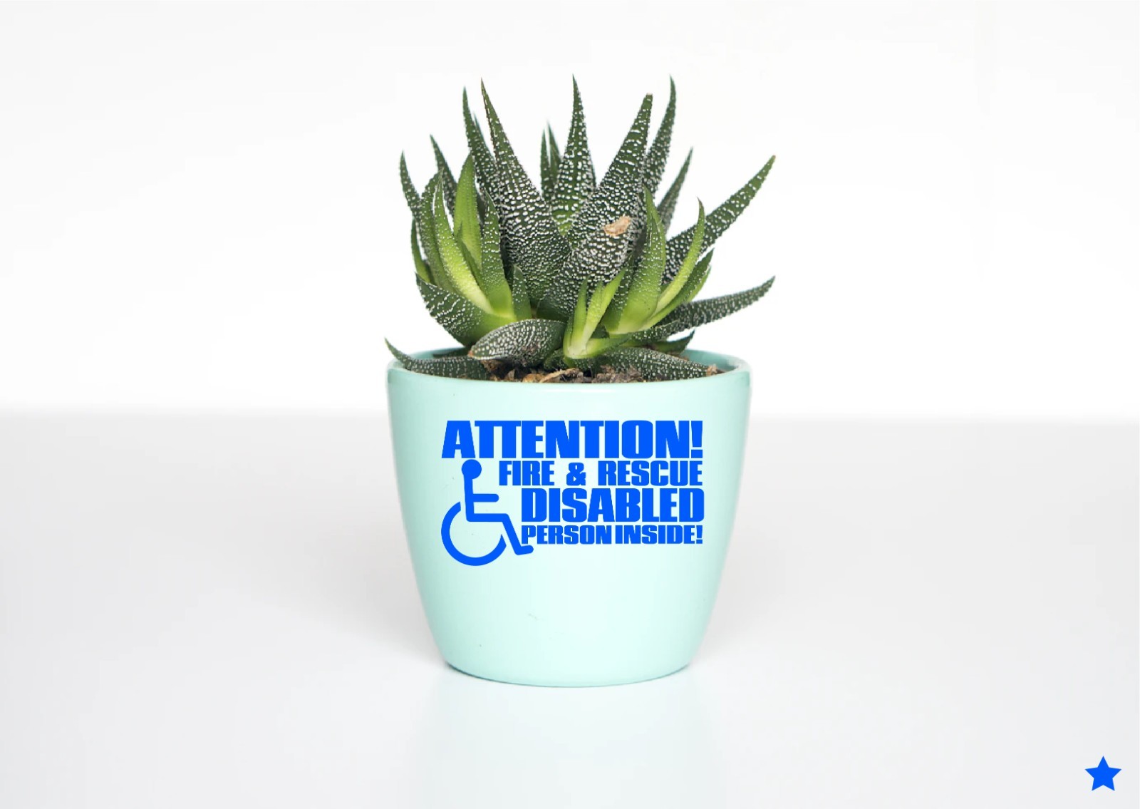 Attention Fire Rescue Disabled Person Inside Decal Window Sticker Save Lives
