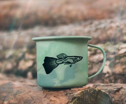 Guppy fish decal Hand Wash Only￼