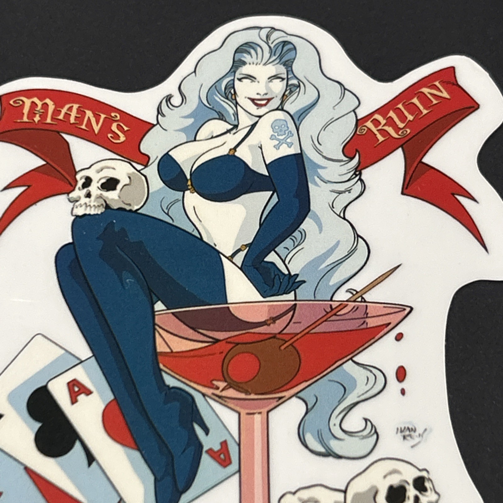 3 Yujean Lady Luck Horseshoe Pinup, Man’s Ruin, Surfer Bikini Girl Sticker New