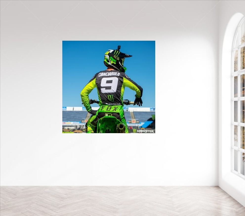 Adam Cianciarulo Wall Vinyl Decal Graphic (Removable Adhesive Backing)