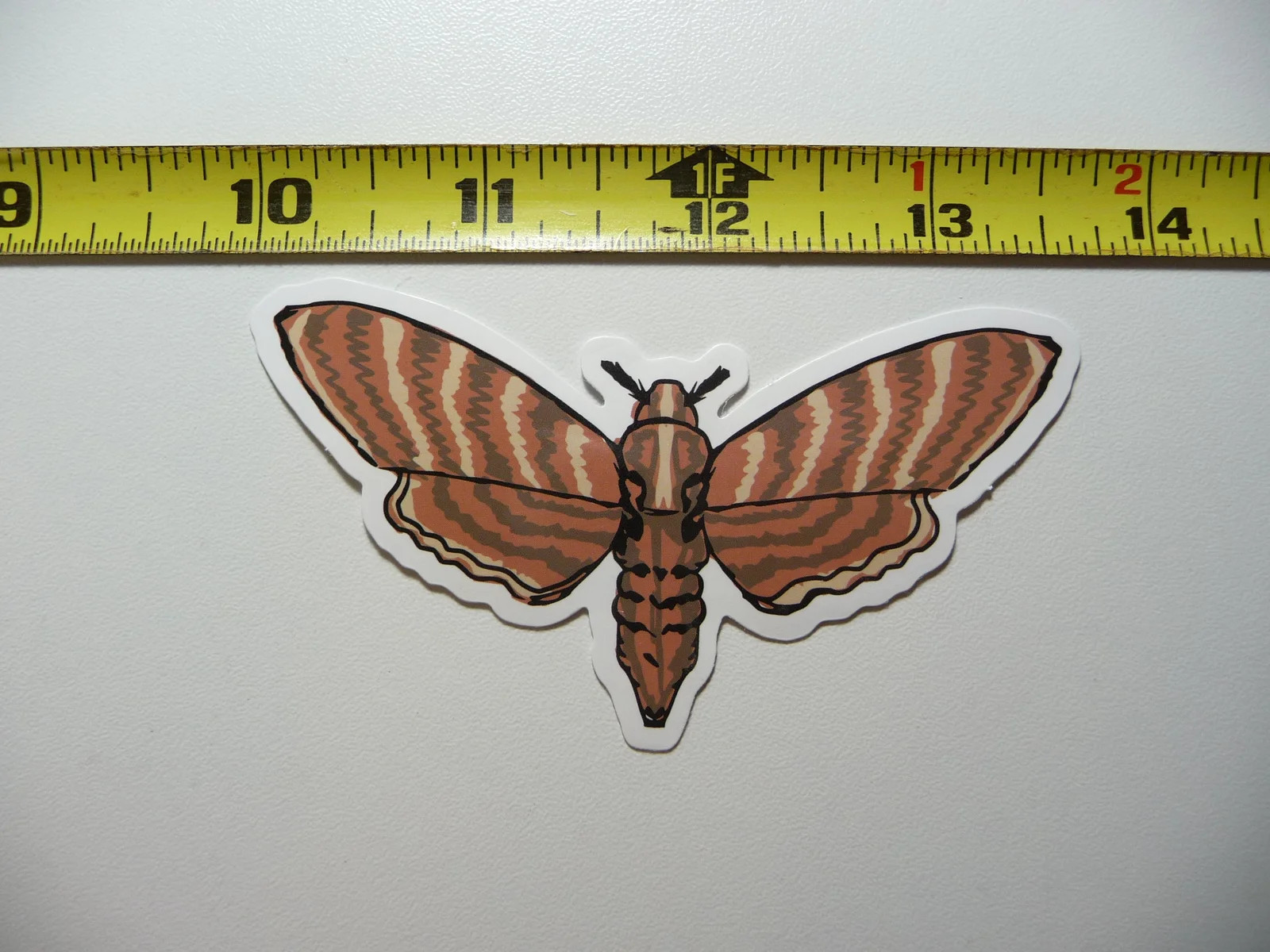 MOTH #1 SMALL STICKER DECAL BUG INSECT FUN FUNNY