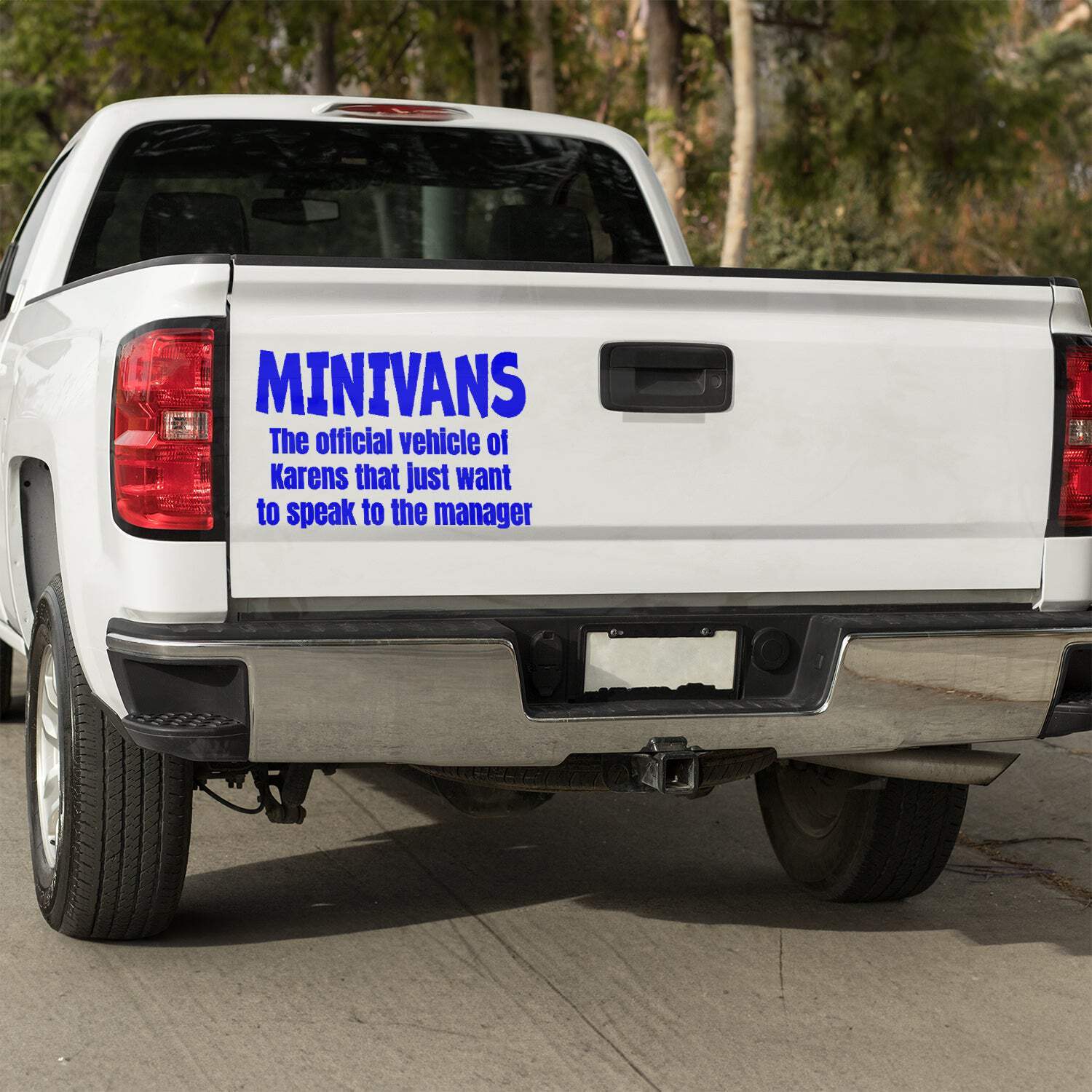 Minivans the official vehicle of Karens that just want to speak to the manager V