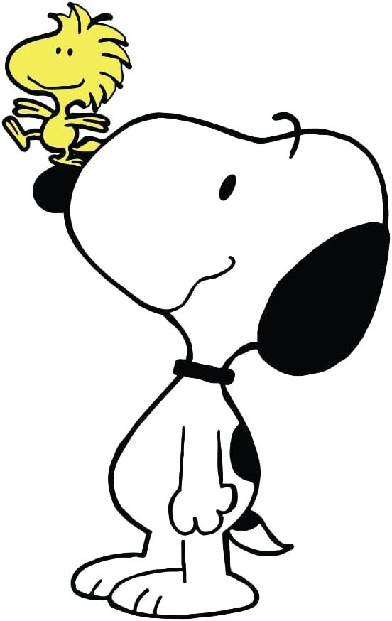 Snoopy & Woodstock on Nose Sticker Deca Laptop Wall Mirror Cup Tumblr Locker Bin