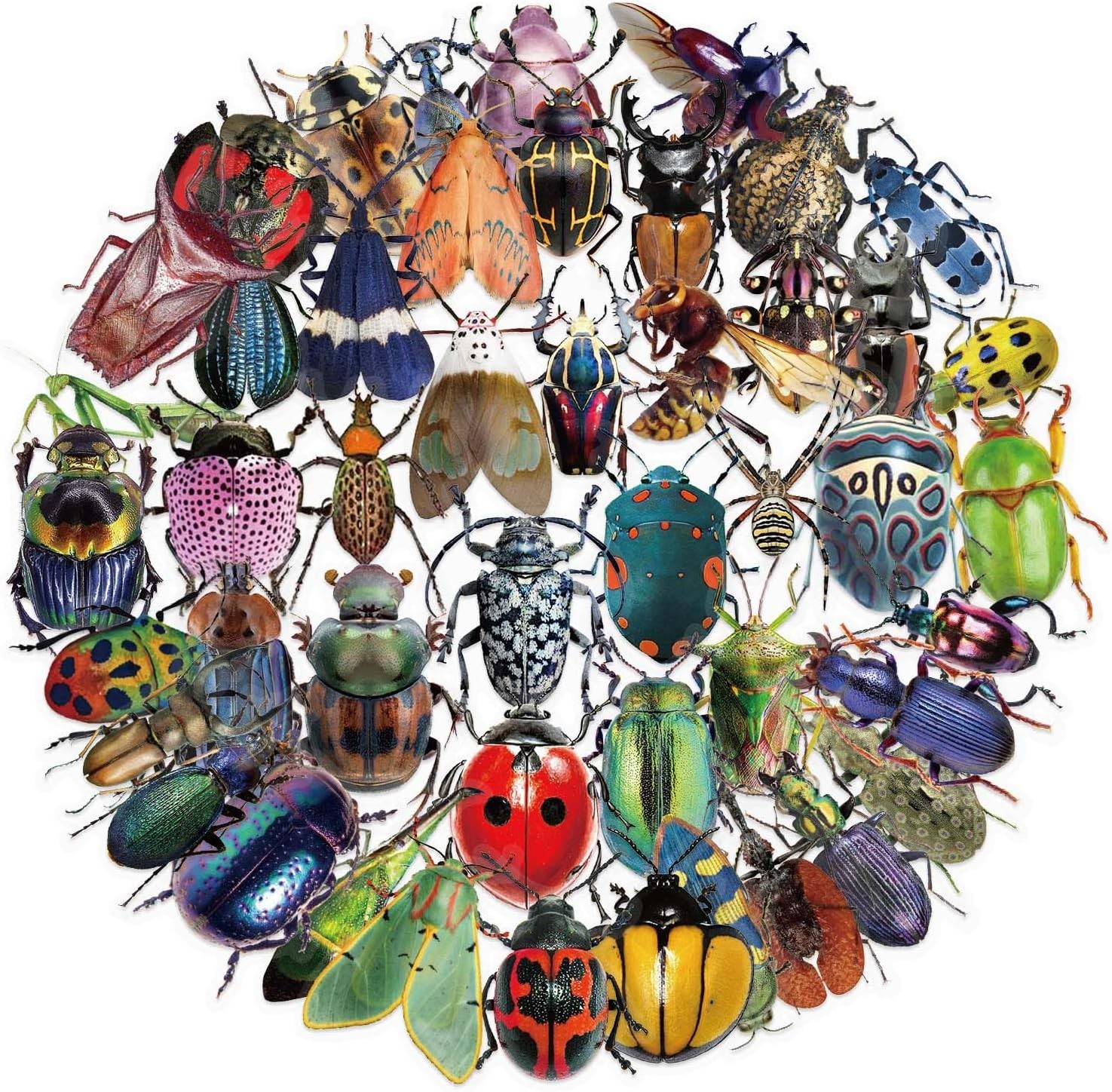 50 Realistic Insect Stickers – Transparent & Waterproof Insect Stickers for Kids