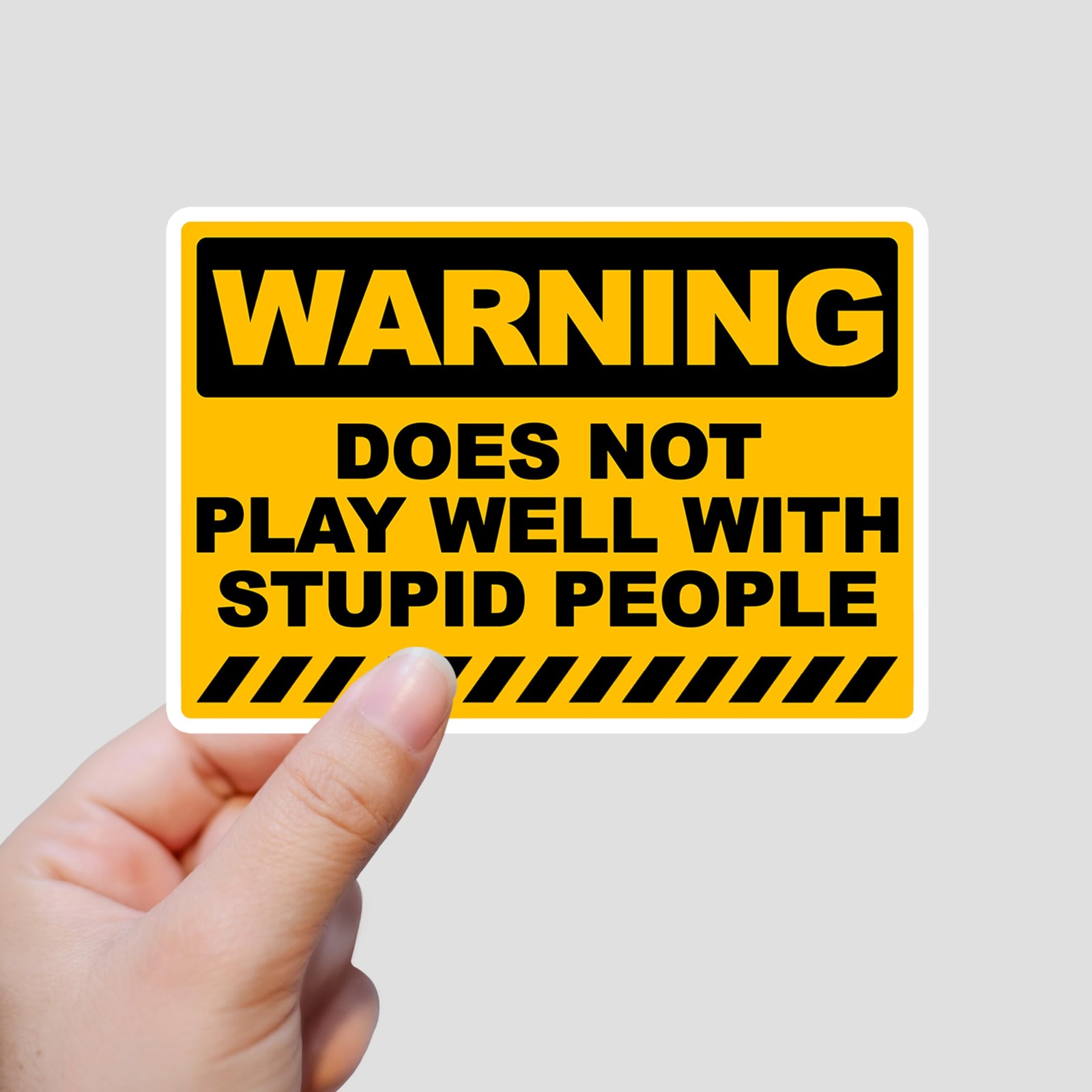 LOREARA Funny Stupid People Sticker 3×2.1 Inches