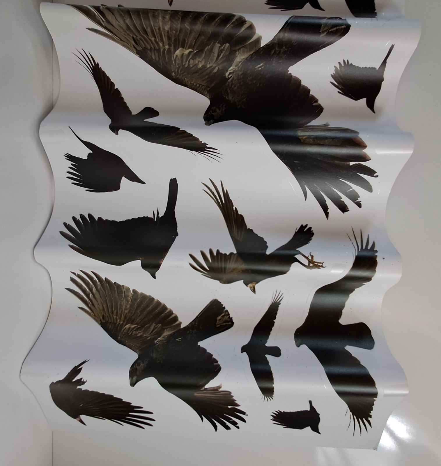 Happy Halloween Blackbirds Crows Wall Art Self-Adhesive Removable