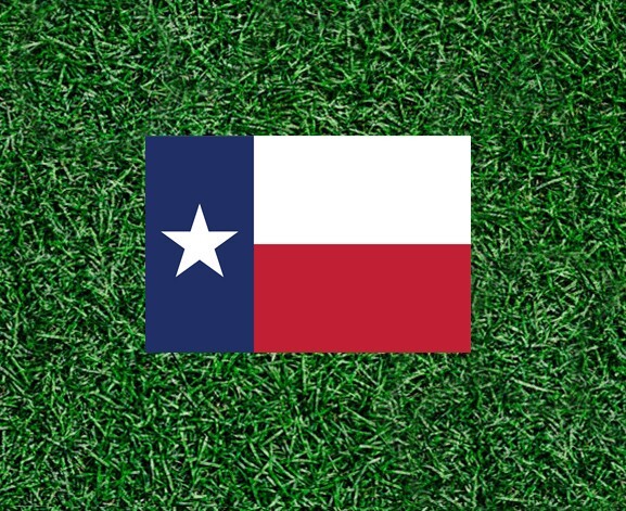 Texas State Flag sticker decal – many sizes available