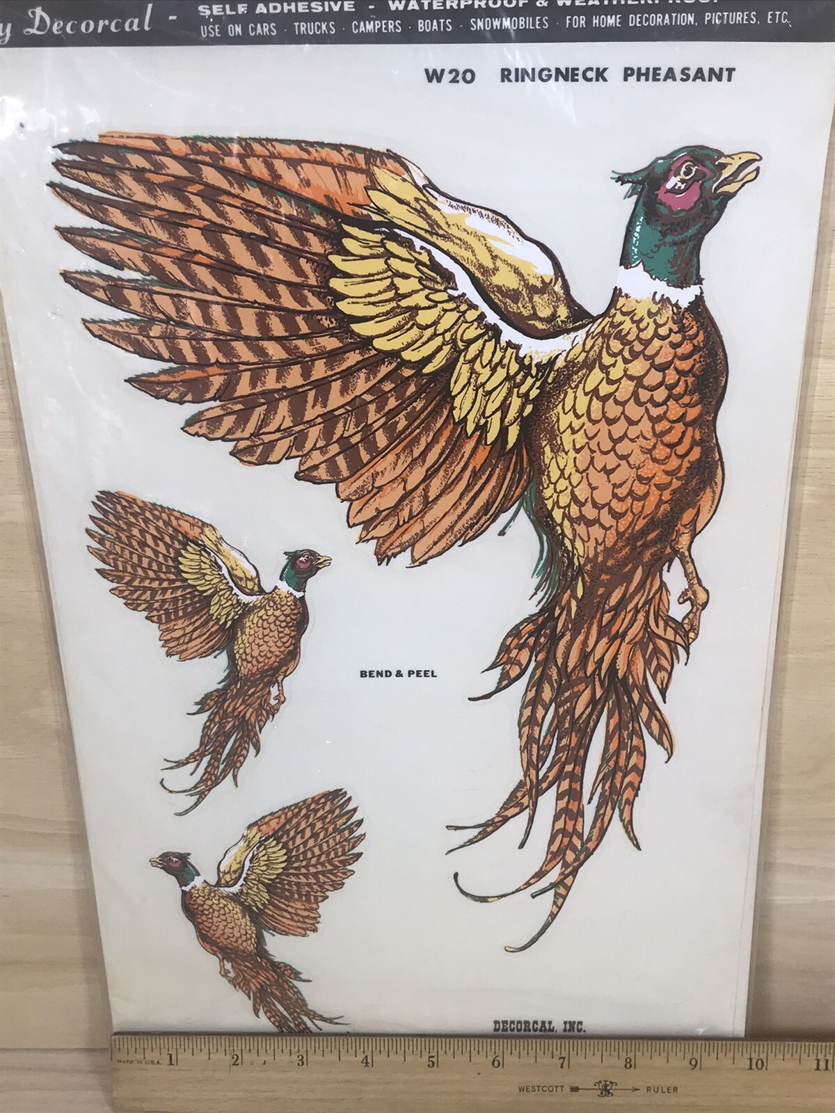 Ringneck Pheasant Decals Hand Painted Sports And Wildlife Decorcal Vintage 1981