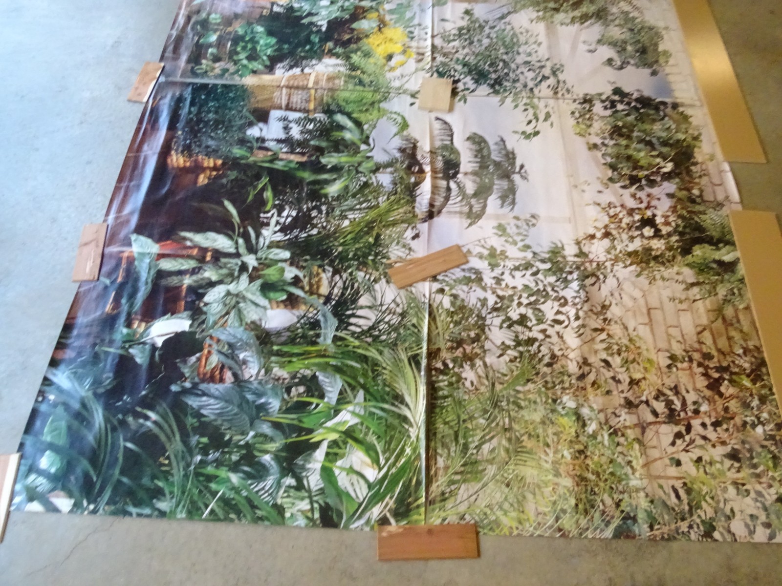 Full Wall Size Mural Tropical Plants Huge Window 8’ 8” x 12’ 6” NOS 108 Sq Ft A