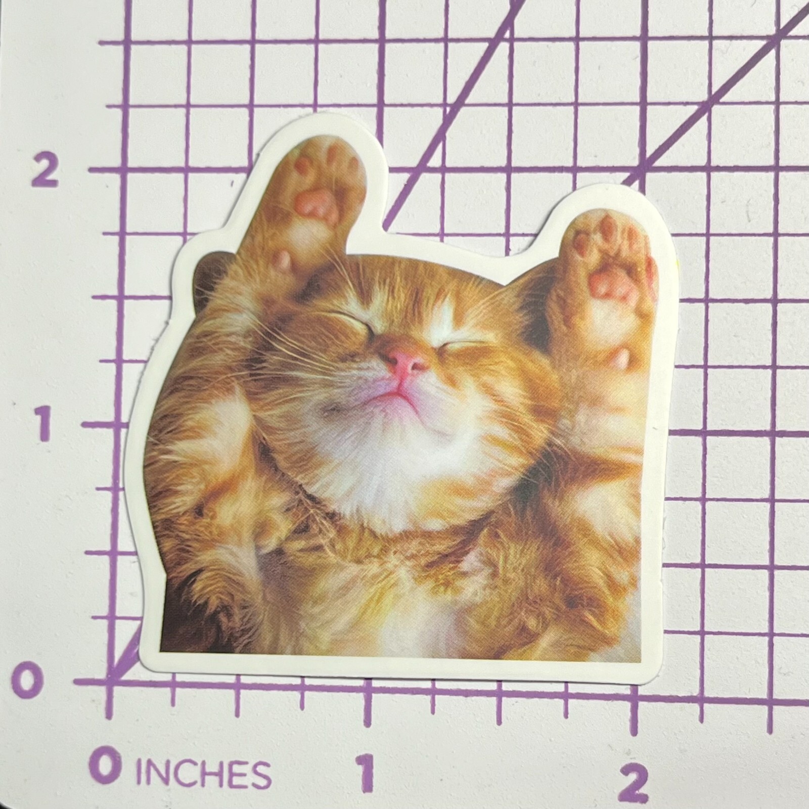 Dreaming Orange Striped Kitty – Vinyl Sticker Decal Sticker Bomb Humor Funny