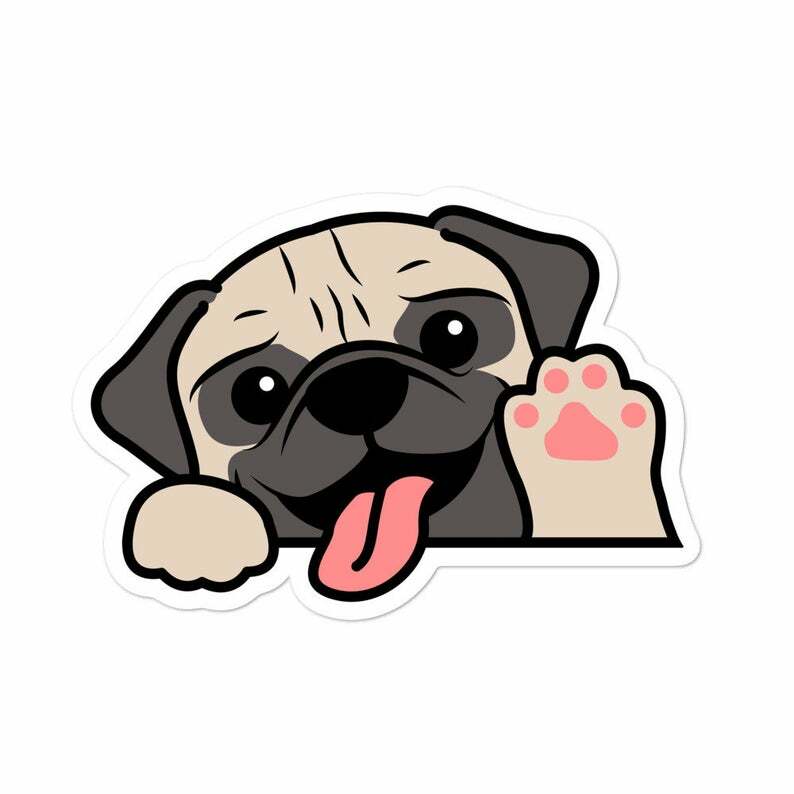 Peeking Pug Car Sticker / Vinyl Car Decal Water Resistant For Outdoor Indoor Use